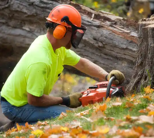 tree services Wheaton